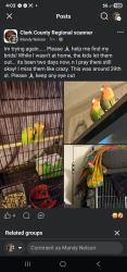 Lost Unknown Bird last seen W 38th st , Vancouver, WA 98660