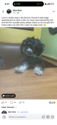 Lost Male Dog last seen Sullivant Eden lake apmts , Columbus, OH 43123