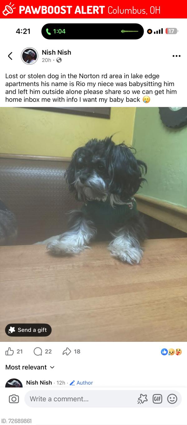 Lost Male Dog last seen Sullivant Eden lake apmts , Columbus, OH 43123