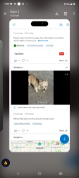 Lost Female Dog last seen Ramona ave, Montclair, CA 91763