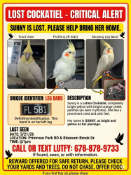 Lost Female Bird last seen Primrose Park Court, Sugar Hill, GA 30518