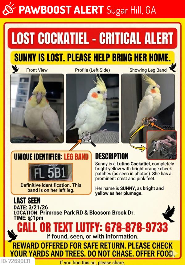 Lost Female Bird last seen Primrose Park Court, Sugar Hill, GA 30518