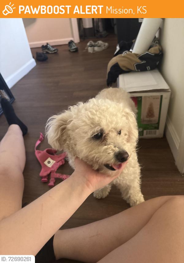 Found/Stray Female Dog last seen Bridges at Foxridge apmts, Mission, KS 66202