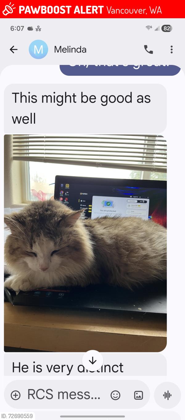 Lost Male Cat last seen NE 20th Ave. Across from Safeway and Kaiser, Vancouver, WA 98686