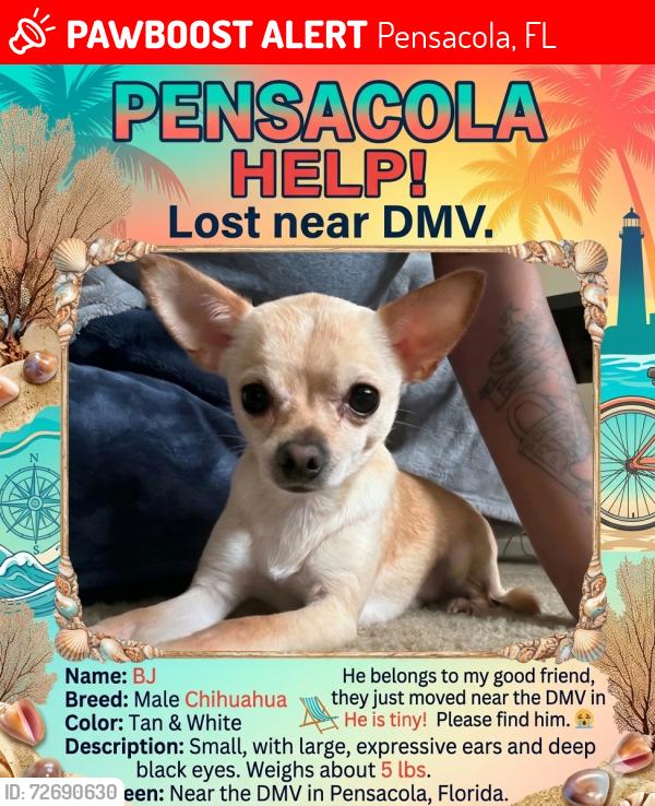 Lost Male Dog last seen Cary Memorial Dr, Pensacola, FL 32505