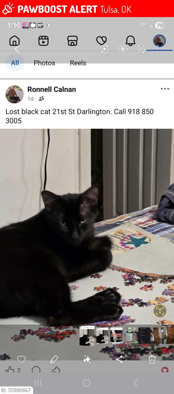 Lost Male Cat last seen 21st and Darlington , Tulsa, OK 74114