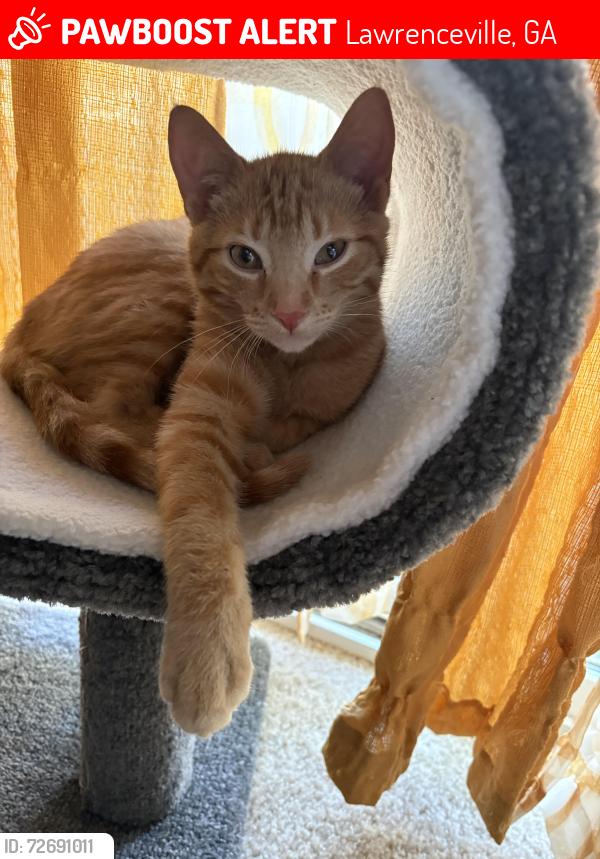 Lost Male Cat last seen Near tailmore lane lawrenceville ga 30043, Lawrenceville, GA 30043