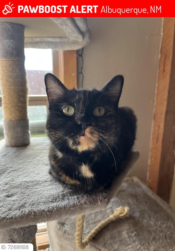 Lost Female Cat last seen Western Trail & Coors, Albuquerque, NM 87120