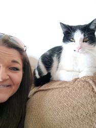 Lost Female Cat last seen Garver Morrison area, Muncie, IN 47306