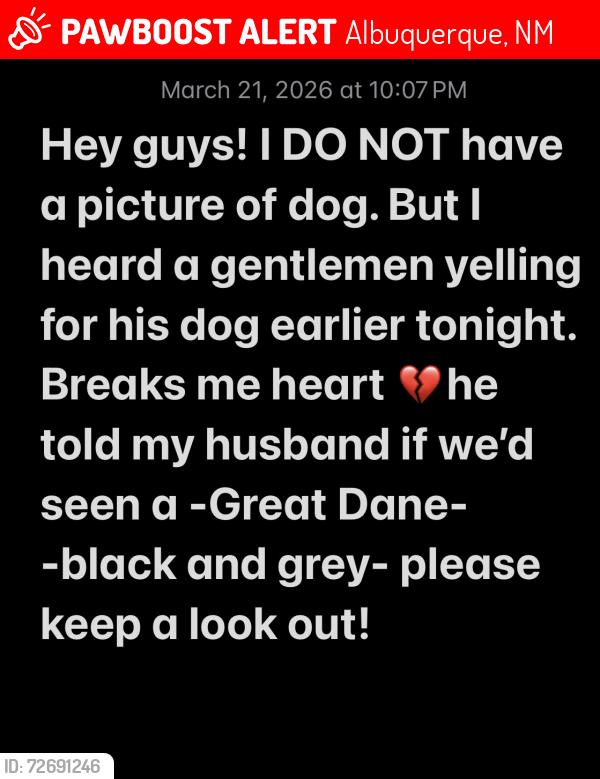 Lost Unknown Dog last seen 8th and 10th street maybe near bosque , Albuquerque, NM 87102