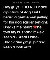 Lost Unknown Dog last seen 8th and 10th street maybe near bosque , Albuquerque, NM 87102
