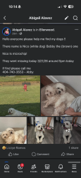 Lost Male Dog last seen Ellenwood ga , Ellenwood, GA 30294