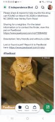 Lost Male Cat last seen Ashley Farms Drive/Dunfries Road, Matthews, NC 28105