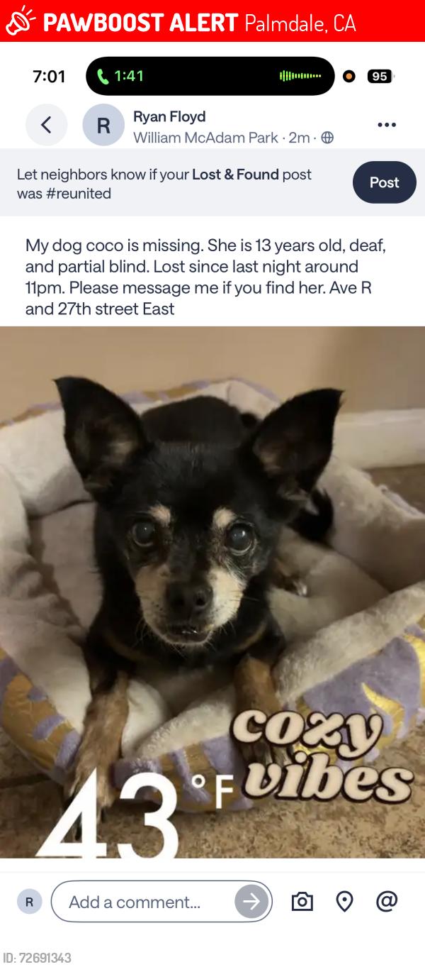 Lost Female Dog last seen 25th-30th east Ave R, Palmdale, CA 93550