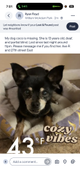 Lost Female Dog last seen 25th-30th east Ave R, Palmdale, CA 93550