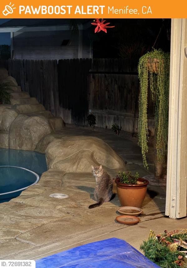 Found/Stray Male Cat last seen Wildsage & Cannon, Menifee, CA 92585
