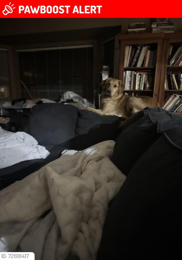 Lost Female Dog last seen Sand ridge road, West Palm Beach, FL 33418