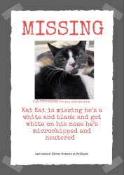 Lost Male Cat last seen Oliver Avenue , Greater London, England SE25 6TY