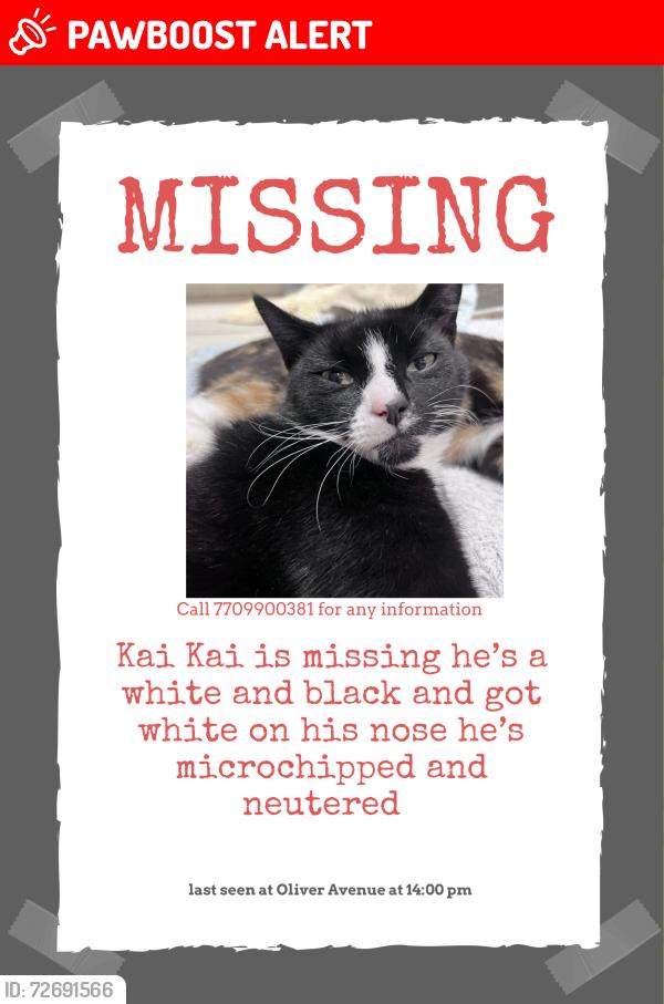 Lost Male Cat last seen Oliver Avenue , Greater London, England SE25 6TY