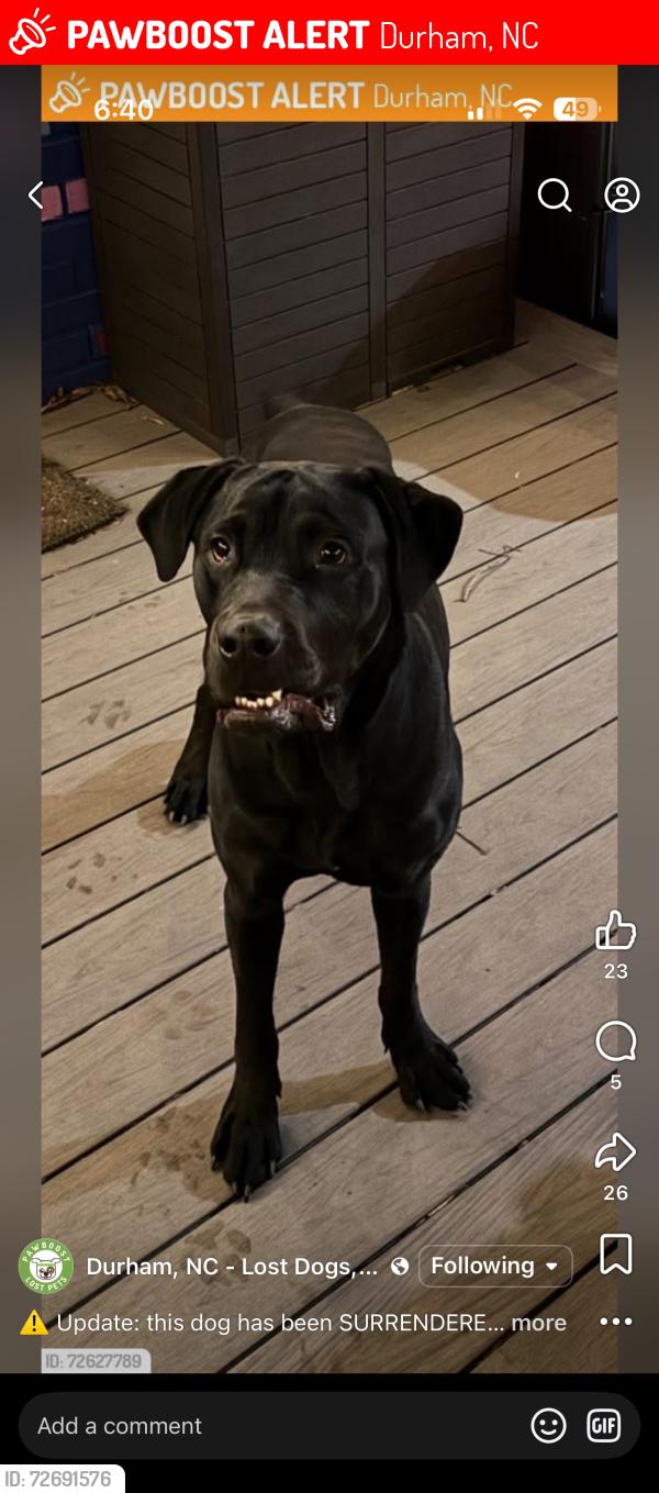 Lost Male Dog last seen Near a park, Durham, NC 27705