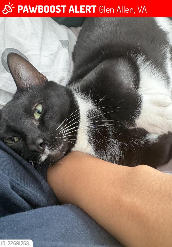 Lost Male Cat last seen VCC, American Family Fitness, , Glen Allen, VA 23060