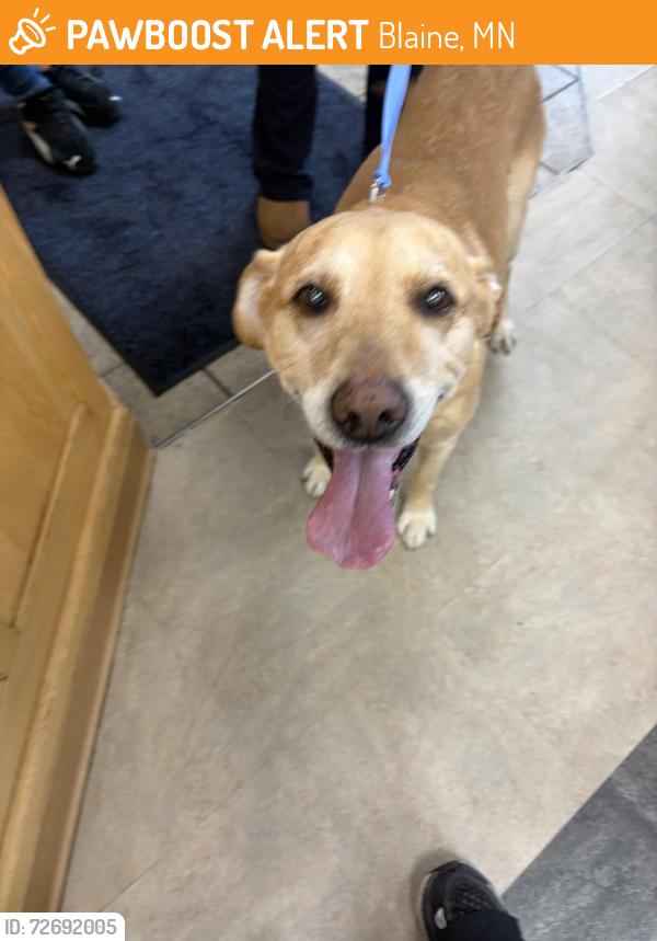 Found/Stray Male Dog last seen Radisson Road, Blaine, MN 55449