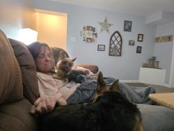 Lost Female Dog last seen Carey Ave , Cheyenne, WY 82001