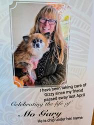 Lost Male Dog last seen Brooks and Reserve st. Walmart parking lot, Missoula, MT 59801