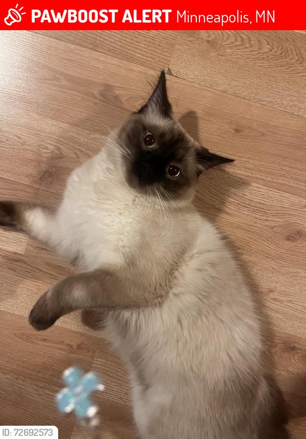 Lost Male Cat last seen Near Morgan Ave n, Minneapolis, MN 55411