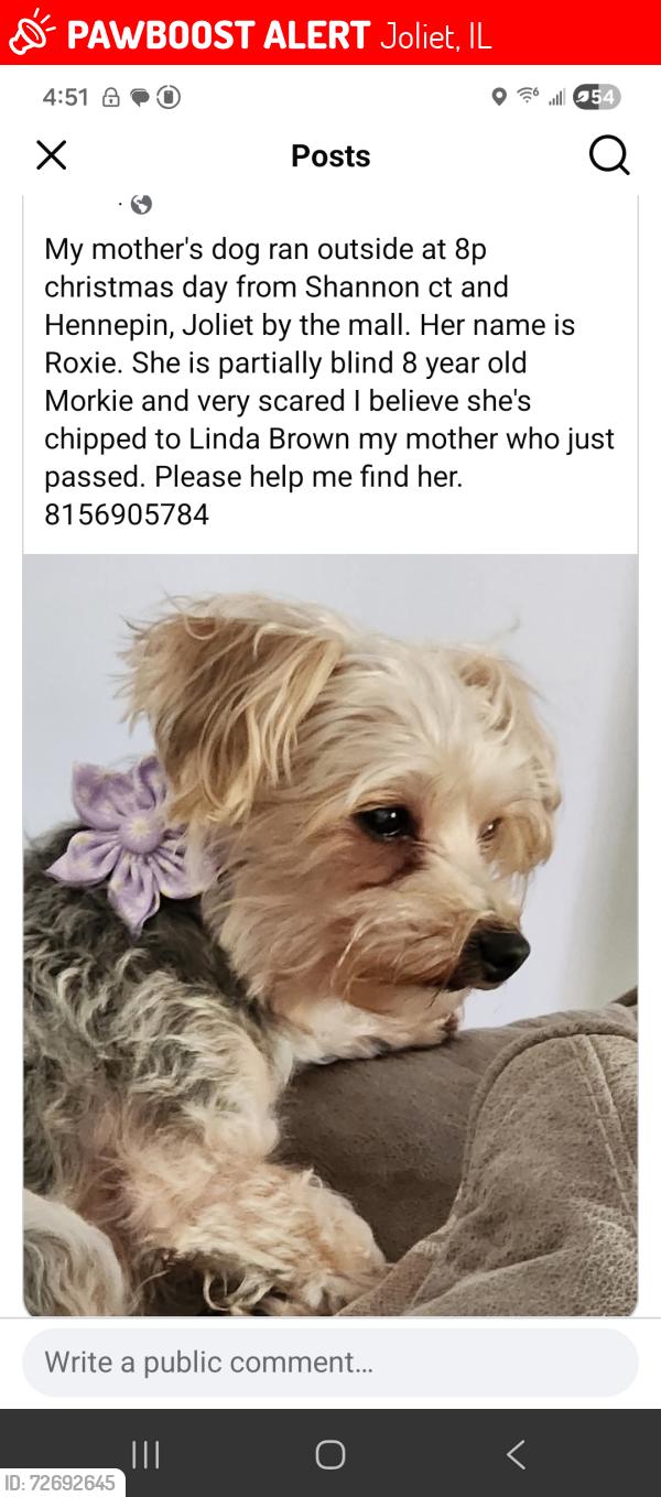 Lost Female Dog last seen Shannon ct and Hennepin Dr near louis joliet mall, Joliet, IL 60431