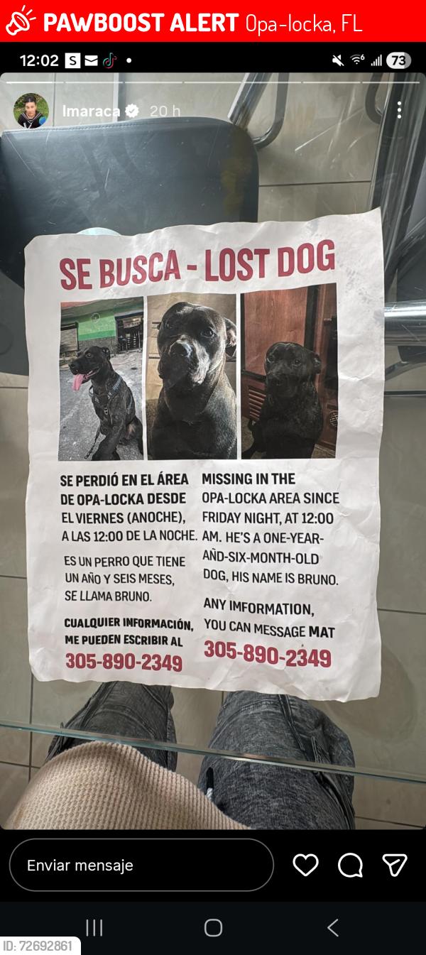 Lost Male Dog last seen Opa Locka , Opa-locka, FL 33054