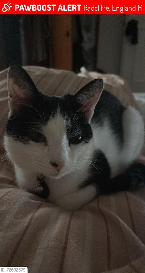 Lost Female Cat last seen Last seen in the early evening 21/3/26, Radcliffe, England M26