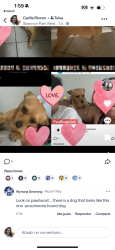 Lost Male Dog last seen Garnett Liberia martinlunker , Tulsa, OK 74129
