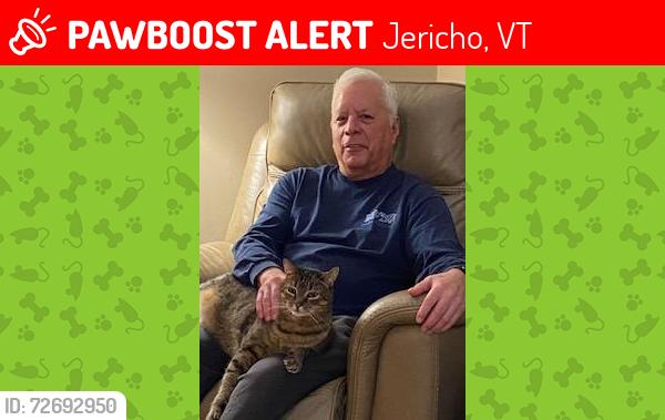Lost Male Cat last seen Tarbox Rd and Governor Peck Rd, Jericho, VT 05465