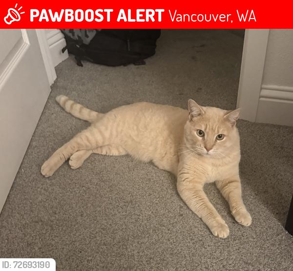 Lost Male Cat last seen Near ne 148th st Vancouver wa 98686, Vancouver, WA 98686