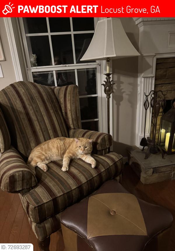 Lost Male Cat last seen Peeksville , Locust Grove, GA 30248