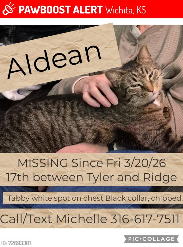 Lost Male Cat last seen 17th between Tyler and Ridge, Wichita, KS 67212