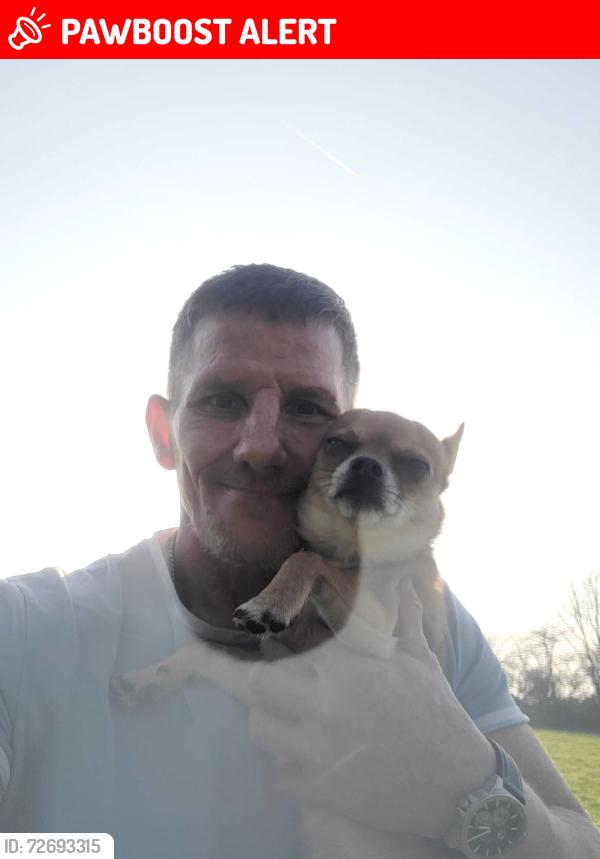 Lost Male Dog last seen Cleethorpes beach , North East Lincolnshire, England DN35