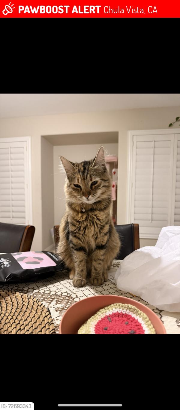 Lost Female Cat last seen Heritage Park, Chula Vista, CA 91913