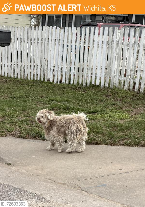 Found/Stray Unknown Dog last seen Seneca and 55th, Wichita, KS 67217