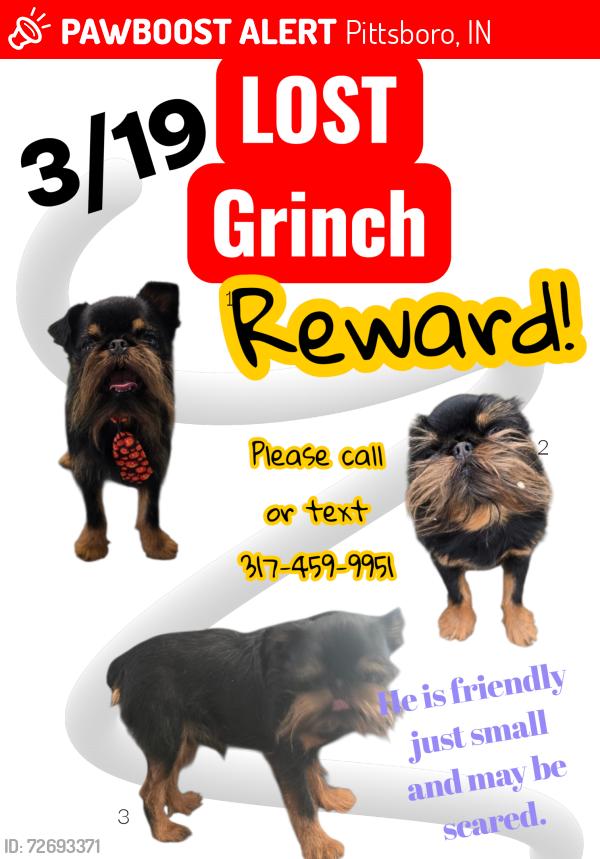Lost Male Dog last seen Circle k scott stree and meridian pittsboro , Pittsboro, IN 46167