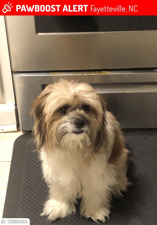 Lost Male Dog last seen Westpoint, Fayetteville, NC 28304