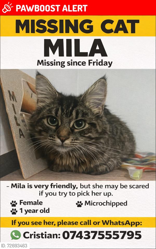 Lost Female Cat last seen Red barn close, Greater London, England CR8