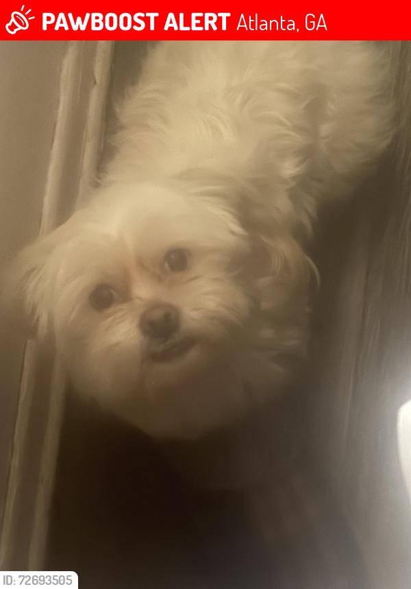 Lost Female Dog last seen Baywood and Bromack, Atlanta, GA 30315
