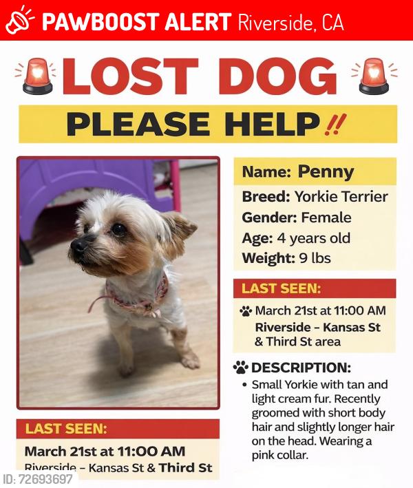 Lost Female Dog last seen Near Kansas Ave , Riverside, CA 92507