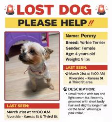 Lost Female Dog last seen Near Kansas Ave , Riverside, CA 92507