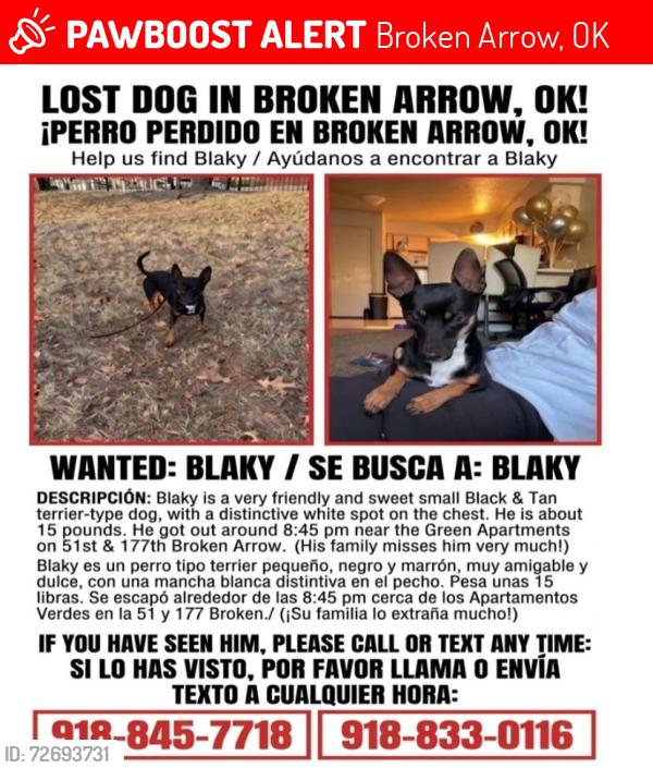Lost Male Dog last seen the green apmts 8:45pm, Broken Arrow, OK 74012