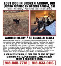 Lost Male Dog last seen the green apmts 8:45pm, Broken Arrow, OK 74012