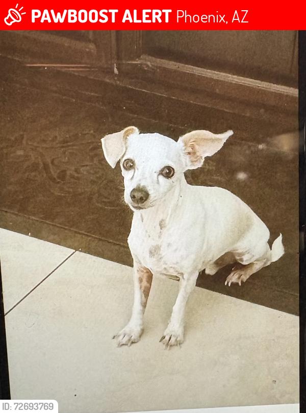 Lost Male Dog last seen 63rd ave and Encanto, Phoenix, AZ 85035