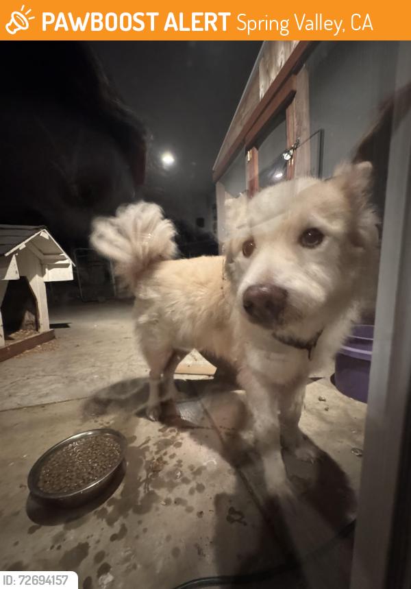 Lost Male Dog last seen St. George st, spring valley , Spring Valley, CA 91977